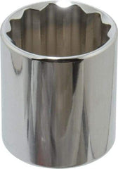 Proto - 1/2" Drive, Standard Hand Socket - 12 Points, 1-25/32" OAL, Alloy Steel, Chrome Finish - Benchmark Tooling
