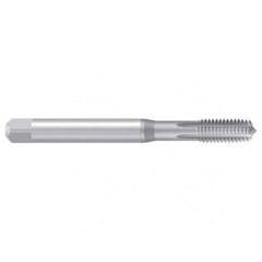 1/4–20 UNC–2B REK.1DRS-OLN Thread Forming Tap - Benchmark Tooling