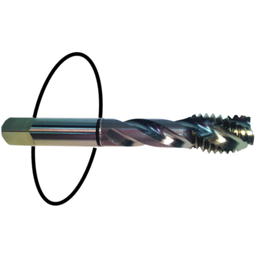 ‎8-32 Dia-H3-2 FL-Std Spiral Point Tap - Black Ring - Benchmark Tooling