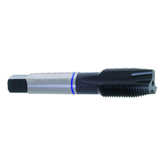 ‎5/16-24 Dia-H3-3 FL-Std Spiral Point Tap-Blue Ring - Benchmark Tooling