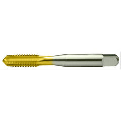 ‎8-36 GH2 4FL BOTT TAP