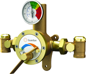 Guardian tempering valve blends hot and cold water to deliver tepid water. Flow capacity is 3.0 to 34 GPM, for use with a single emergency shower, or multiple eyewash, eye/face wash, eyewash/drench hose or drench hose units. - Benchmark Tooling