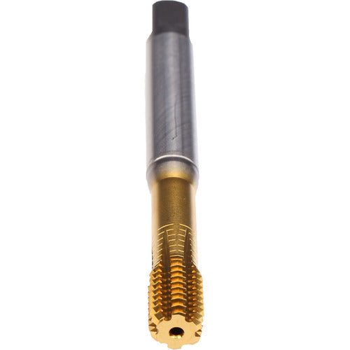 ‎1/4-20-TAP-VA-CLNT-PM-TIN - Exact Industrial Supply