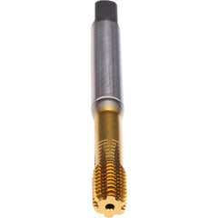 ‎1/4-20-TAP-VA-CLNT-PM-TIN - Exact Industrial Supply