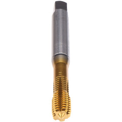 ‎#8-32-TAP-FORM Z-PM-TIN