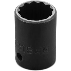 ‎Proto 1/2″ Drive Thin Wall Impact Socket 19 mm - 12 Point - Benchmark Tooling