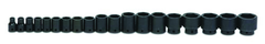 19 Piece - 1/2" Drive - 6 Point- Shallow Impact Socket Set on Clip Rail SAE - Benchmark Tooling