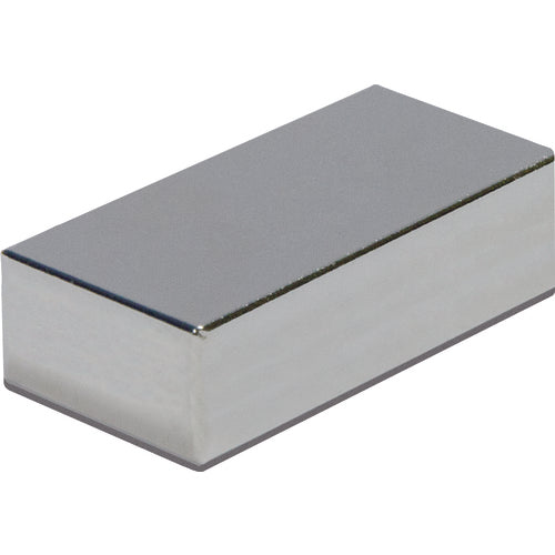 .12 x .50 × 1 Rectangular Rare Earth Magnet - Benchmark Tooling