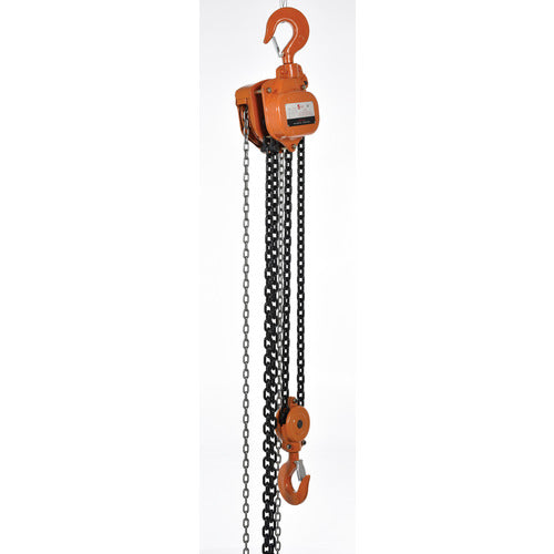 Professional Chain Hoist 10K 20 Ft - Exact Industrial Supply