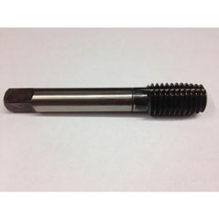 ‎1/2-20 BH-7 6-N TREAT BOTTOM THD FORMER TAPS 16B - Exact Industrial Supply