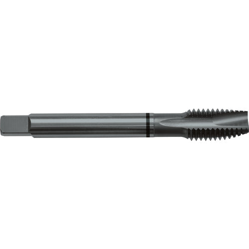 ‎8-32 H3 3 Flute Spiral Pointed Plug Black Ring Tap-Steam Oxide - Benchmark Tooling