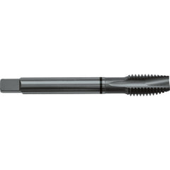 ‎8-32 H3 3 Flute Spiral Pointed Plug Black Ring Tap-Steam Oxide - Benchmark Tooling