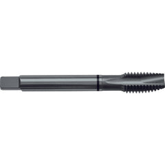 ‎10-24 H3 3 Flute Spiral Pointed Plug Black Ring Tap-Steam Oxide - Benchmark Tooling