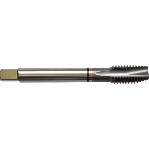 ‎1/4-20 H5 3 Flute Spiral Pointed Plug Black Ring Tap-TICN - Benchmark Tooling