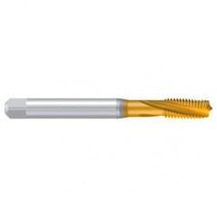 M24-ISO2/6H REK.2D-VA/E TiN Sprial Flute Tap - Benchmark Tooling
