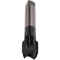 ‎STI 8-36-TAP-REKORD B-AL - Exact Industrial Supply