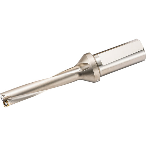 S125DRV1188509, DRV Magic Drill 1.1880″ Cutting Diameter, 5xD, Indexable Insert Drill