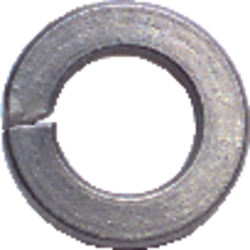 8 Bolt Size - Zinc Plated Carbon Steel - Lock Washer - Benchmark Tooling