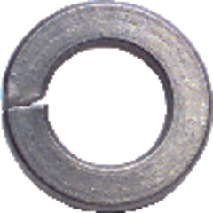 10 Bolt Size - Zinc Plated Carbon Steel - Lock Washer - Benchmark Tooling