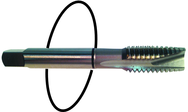M10 x 1.25 Dia. - D5 - 3 FL - Std Spiral Point Tap - Black Ring - Benchmark Tooling