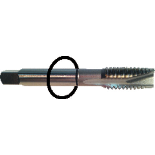 ‎M6 × 1.0 Dia-D5-3 FL-Std Spiral Point Tap - Black Ring - Benchmark Tooling