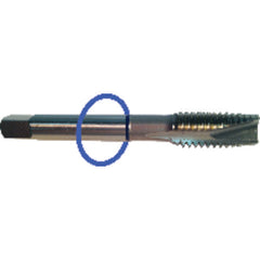 ‎M2 x .40 Dia-D3-2 FL-Std Spiral Point Tap - Blue Ring - Benchmark Tooling