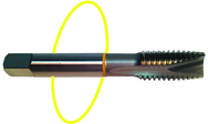 3/4-10 Dia. - H3 - 3 FL - Std Spiral Point Tap - Yellow Ring - Benchmark Tooling