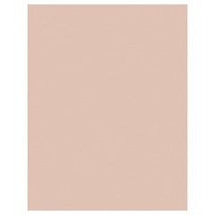 8 1/2 in × 11 in 3M™ Lapping Film 261X Brown Alt Mfg # 14050 - Benchmark Tooling