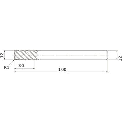 VFMDRBD1200R100 SOLID CARBIDE EM